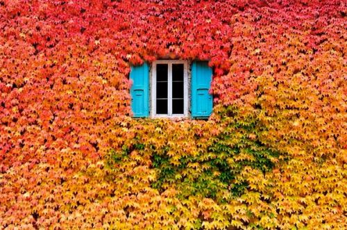 Fall is my favorite season